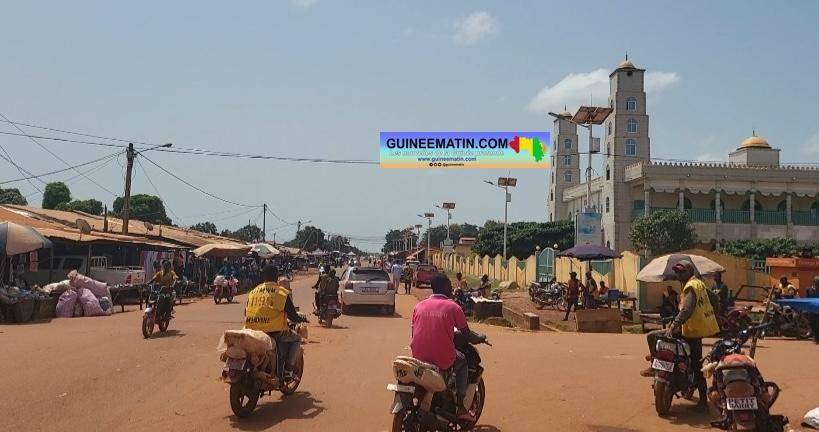 Guineematin tweet media