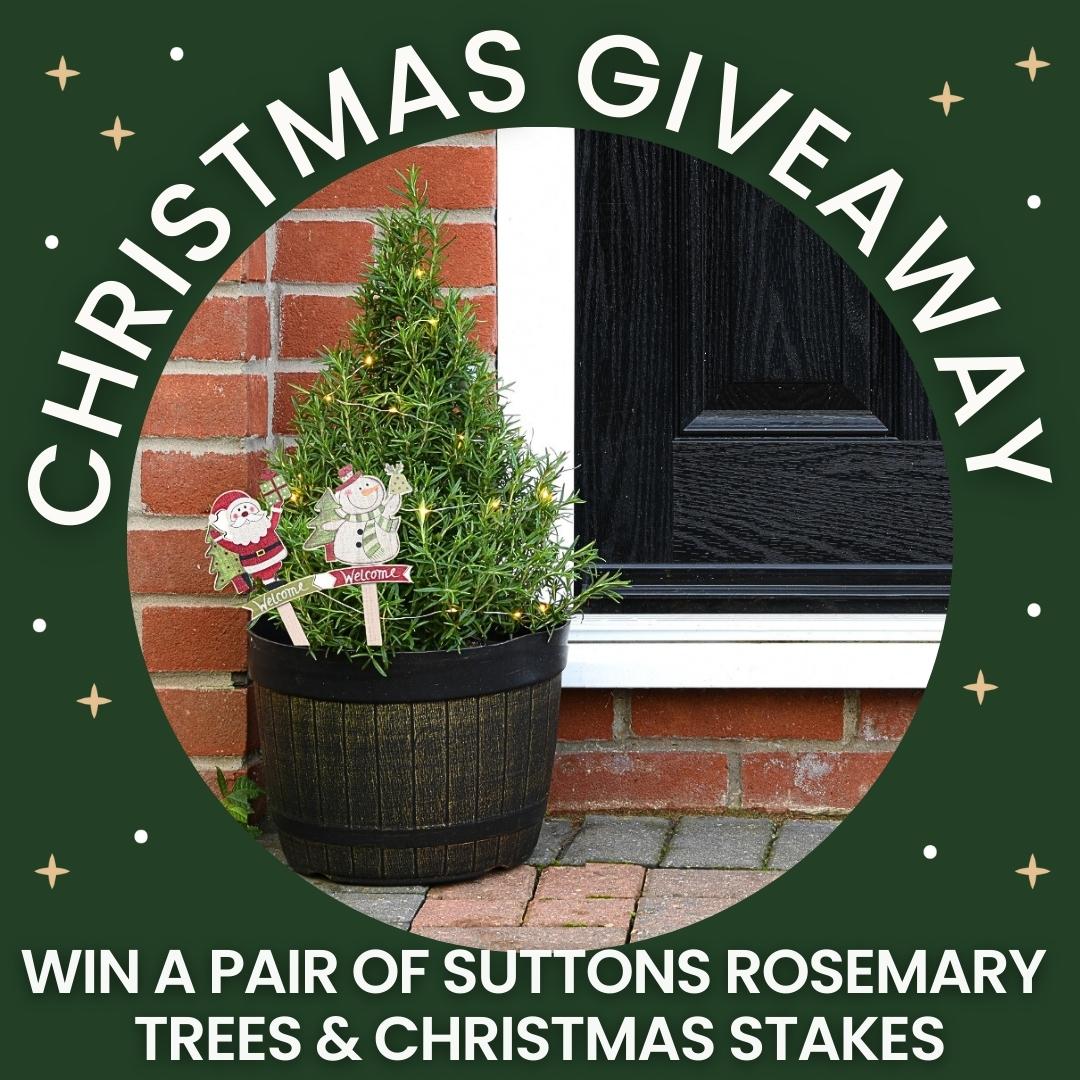 #WIN Suttons #Christmas Gifts✨ bit.ly/3QMBult One lucky winner will win: 🌲A pair of rosemary ‘Christmas trees’ to decorate your doorway. 🎅🏻Festive signposts to delight your guests! Closes 1st Dec. Good luck! #Competition #Giveaway