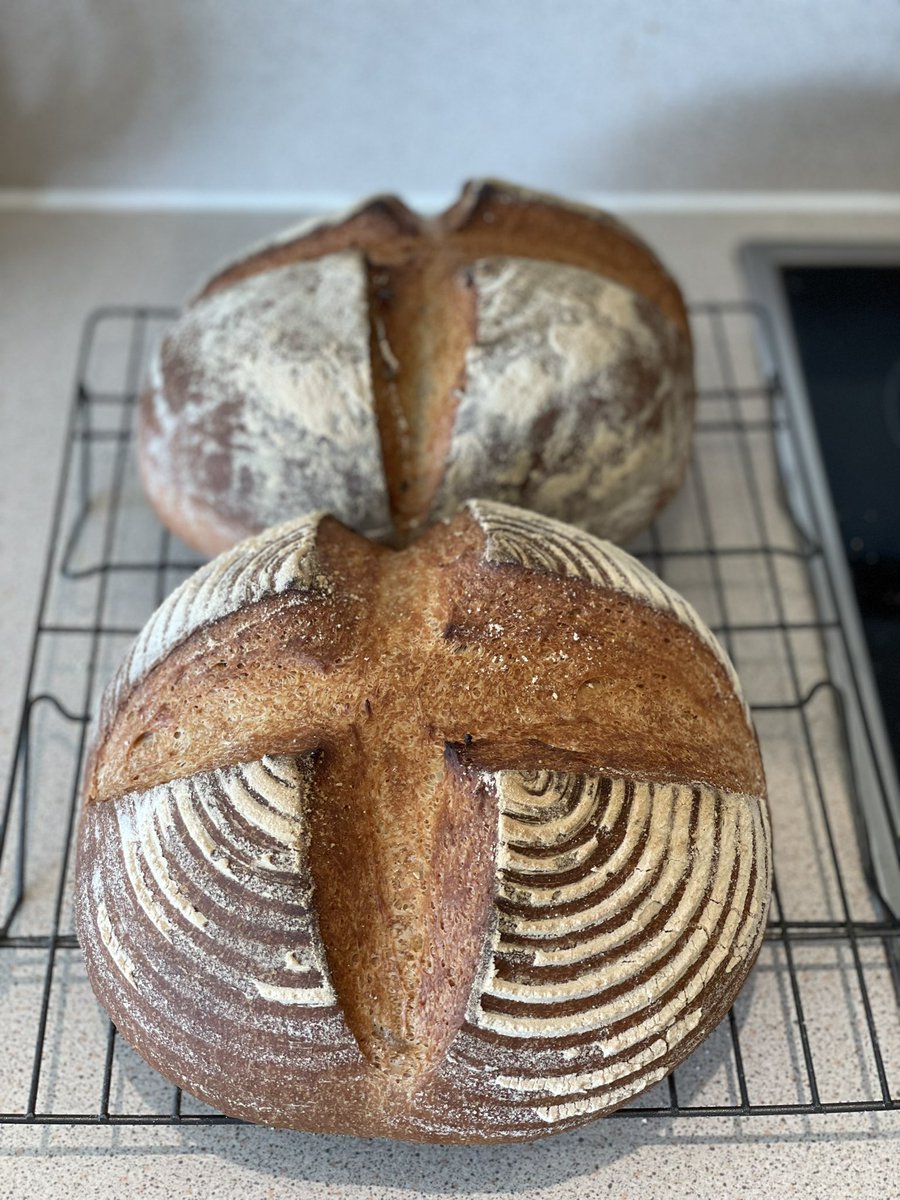 Welsh_PA's tweet image. Another batch of long ferment white &amp;amp; rye boules for our houseguest @topazio77 ! 🥖 
#weekendbaking #bread #breadmaking #baking #boule #MadeWithMarriages #marriagesflour