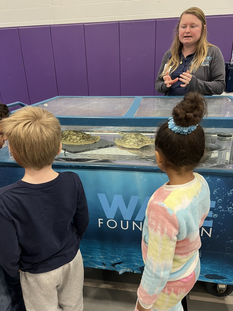 CanfieldsART_Rm's tweet photo. A fun day at Steeplechase Elementary! The Newport Aquarium made a visit and brought stingrays and sharks! We learned a ton about these aquatic creatures and conservation. The students were so excited. Thank you @NewportAquarium, we loved it! 🦈❤️
@steeplechaseel @Boone_County https://t.co/qYJxApEAcD