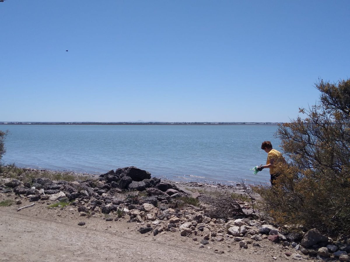 AmbienteBB's tweet photo. 📢Se recogieron más de 440 KG de residuos en el último censo y limpieza de playas que tuvo lugar desde la reserva costera municipal hasta Sauce Chico https://t.co/PjzcOU1uWR