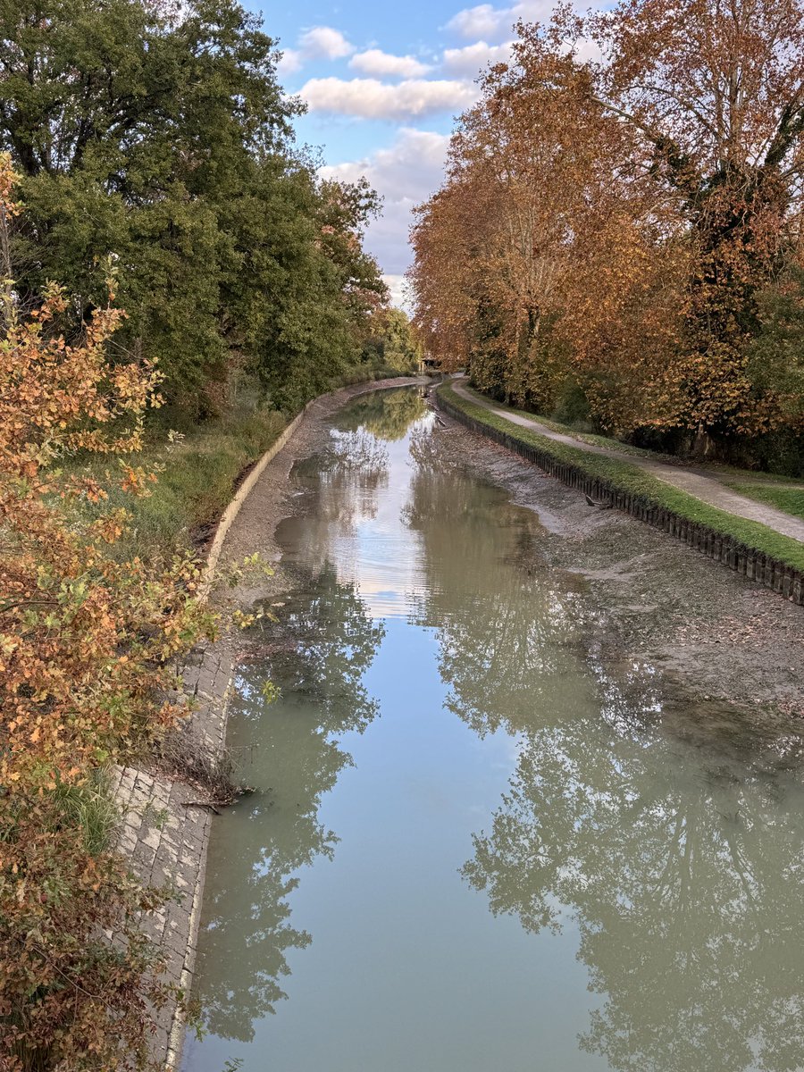 AuthorAndyhm's tweet photo. Autumn is setting in along the canal. 
The section above the port is now almost completely empty so the VNF can start their annual repairs. The level at the port is low but okay, but I expect will change soon. At least the VNF is saying the water levels should be back to normal by Christmas.