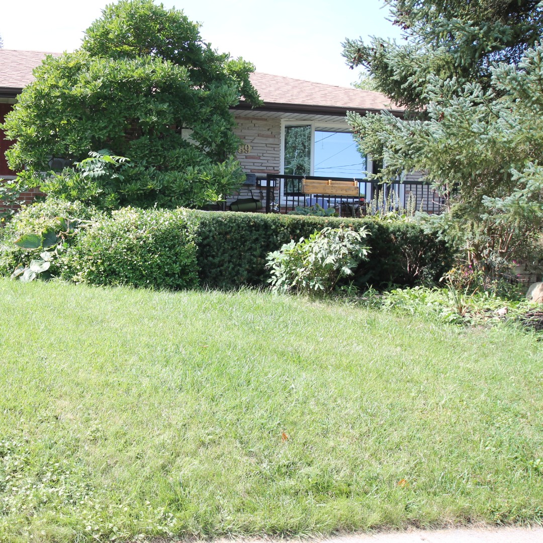 propertylinkms's tweet photo. Looking for a new home in 2024? Here is a professionally managed &amp; newly renovated duplex near St. George's Park &amp; downtown Guelph. Features two bedrooms, SS appliances, FP, one bath, laundry, private entrance, huge yard &amp; parking. $2150/mo, incl. all utilities. #PropertyLinkMS https://t.co/9bfLJzcgIu