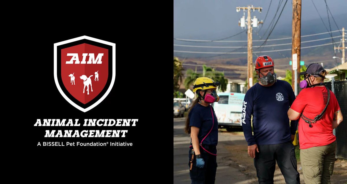 Don't miss our latest blog from BPF's Animal Incident Management Executive Director Eric Thompson! He shares insight about his ongoing work with the people and pets of Maui following the most catastrophic wildfire in history. Read the full blog: lnkd.in/gvTamDd3