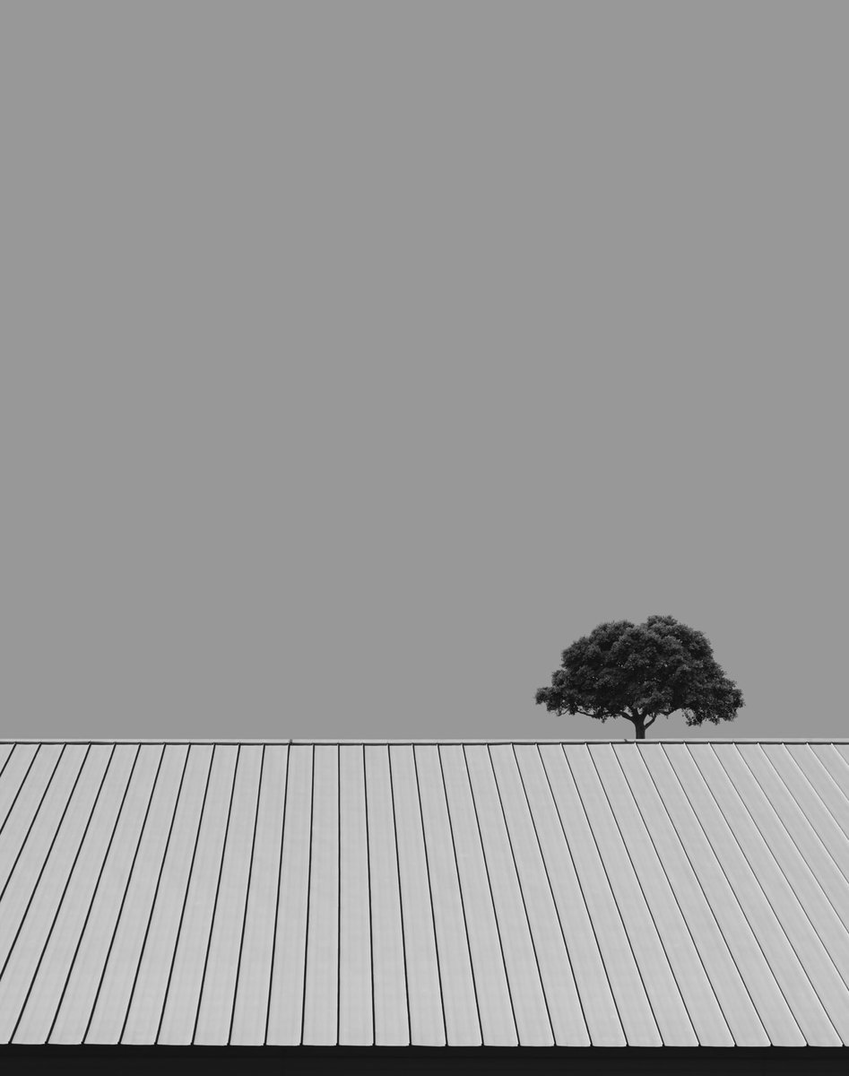 moyaei's tweet photo. @Lollyp0pworld @foundation Haiku 

🔻7/10
🔻5 $XTZ

#LollyArtThread 

Tagging @xoniyagar @Cicov_ @NabaeiNaghmeh @bitsy_sunset @sepide_salaami https://t.co/No5BAtVspM