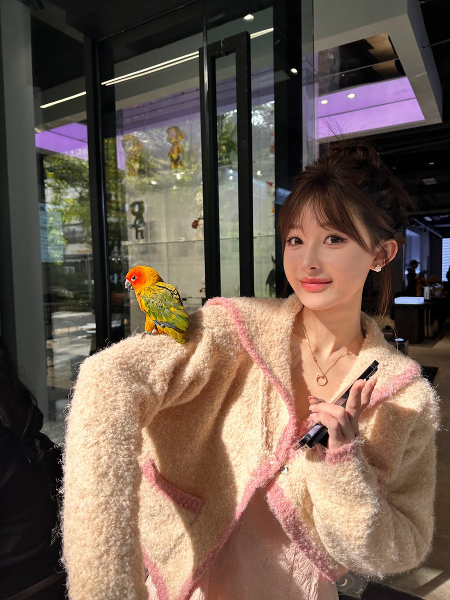 完成了在成都一整天的主持以后 坐风火轮刚刚落地杭州了… 因为明天还要早起主持另一场活动 
兄弟们 有没有提神的保健品推荐一下  不要红牛😖 https://t.co/iITJoWkx00