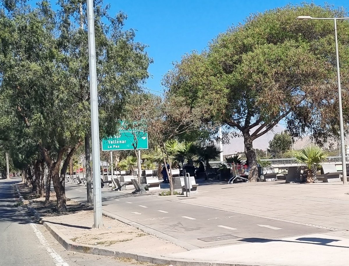 pikillo_green's tweet image. ⚠️Mes Septiembre
Mas brindis en las mismas bancas, sector &quot;tomadas&quot; (literal)por grupo de hasta 10 borrachos,bebiendo alcohol cada tarde desde las 15hrs

Hay q esperar q ataquen a un/a ciclista o peaton/a para hacer algo? #Reactividad #CeroPrevención #Bicicleta #Copiapo #Atacama