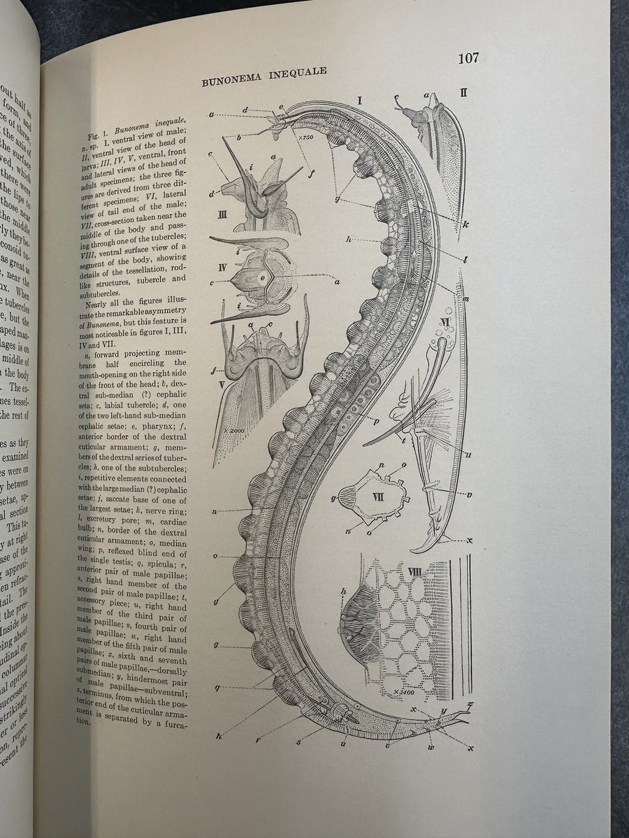 The things you find when cleaning your office: N.A. Cobb’s Contributions to a Science of #Nematology 🤩 the illustrations are so beautiful! @SON_nemaweb @activeplantnema
