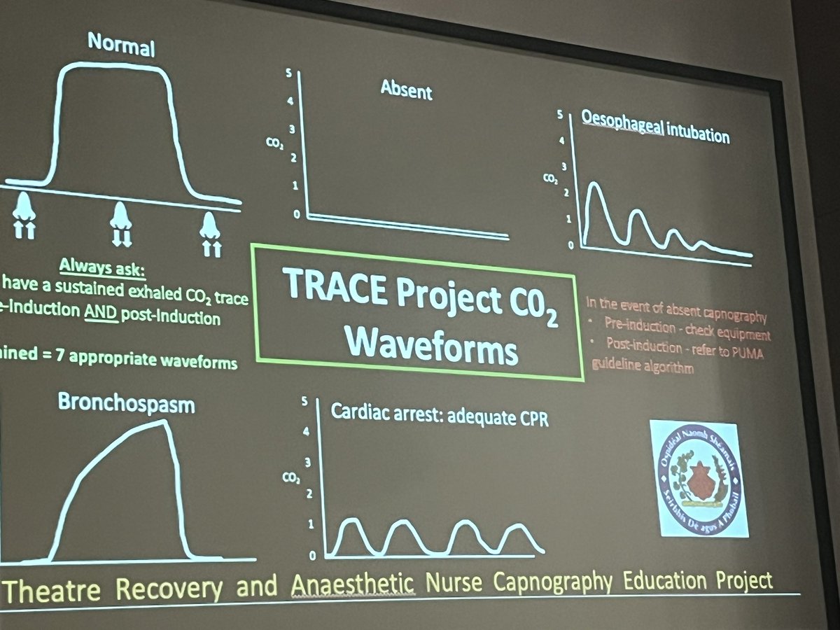 Ellen O’Sullivan @ProEllenO.bsky.social tweet media