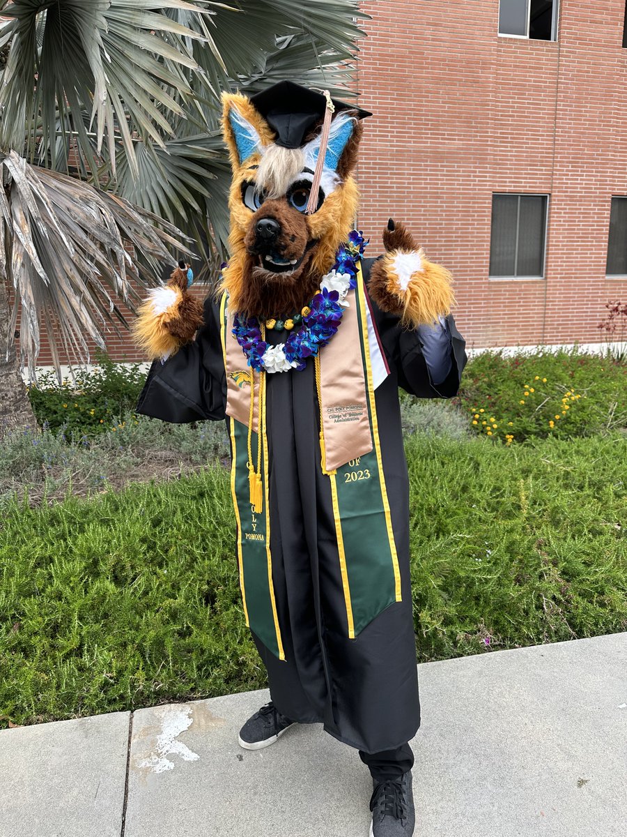 Summer_Rine_21's tweet image. Earlier this year, I graduated college and earned my degree in the hopes of pursuing a career in accounting. I can happily say that I finally achieved that goal!

#FursuitFriday #Furry

✂️: @heysziri