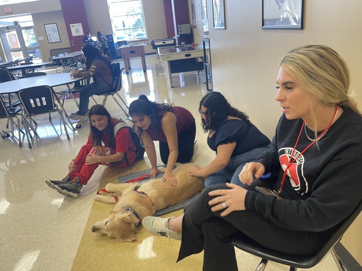 endeavoreagles's tweet photo. Activity Fri-Yay: students were able to enjoy the beautiful day or stay inside and get some @comfort_dogs Nugget kisses! @ChannelviewISD https://t.co/GOzKjdedUn