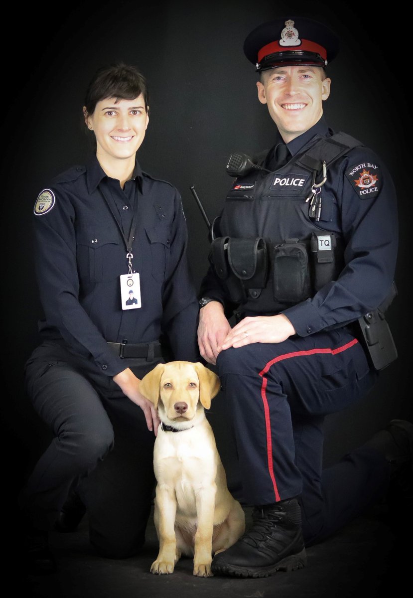 Congratulations to @K9Chewie's new trauma support partner, Toby, who has successfully completed Puppy Elementary School. And a big shout out to Gillian, who is Toby and Chewie's handler, for her work helping victims and emergency responders in our community.