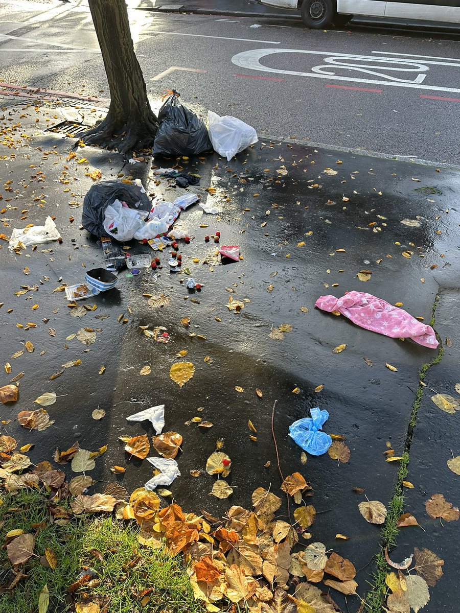 This is what passes for a waste collection system in Croydon. Bags put out overnight as required are ripped open by foxes leaving dirty nappies & food waste over the pavement. Then its not picked up by the bin men or street cleaner as they pass nearby. #Croydon #wastemanagement