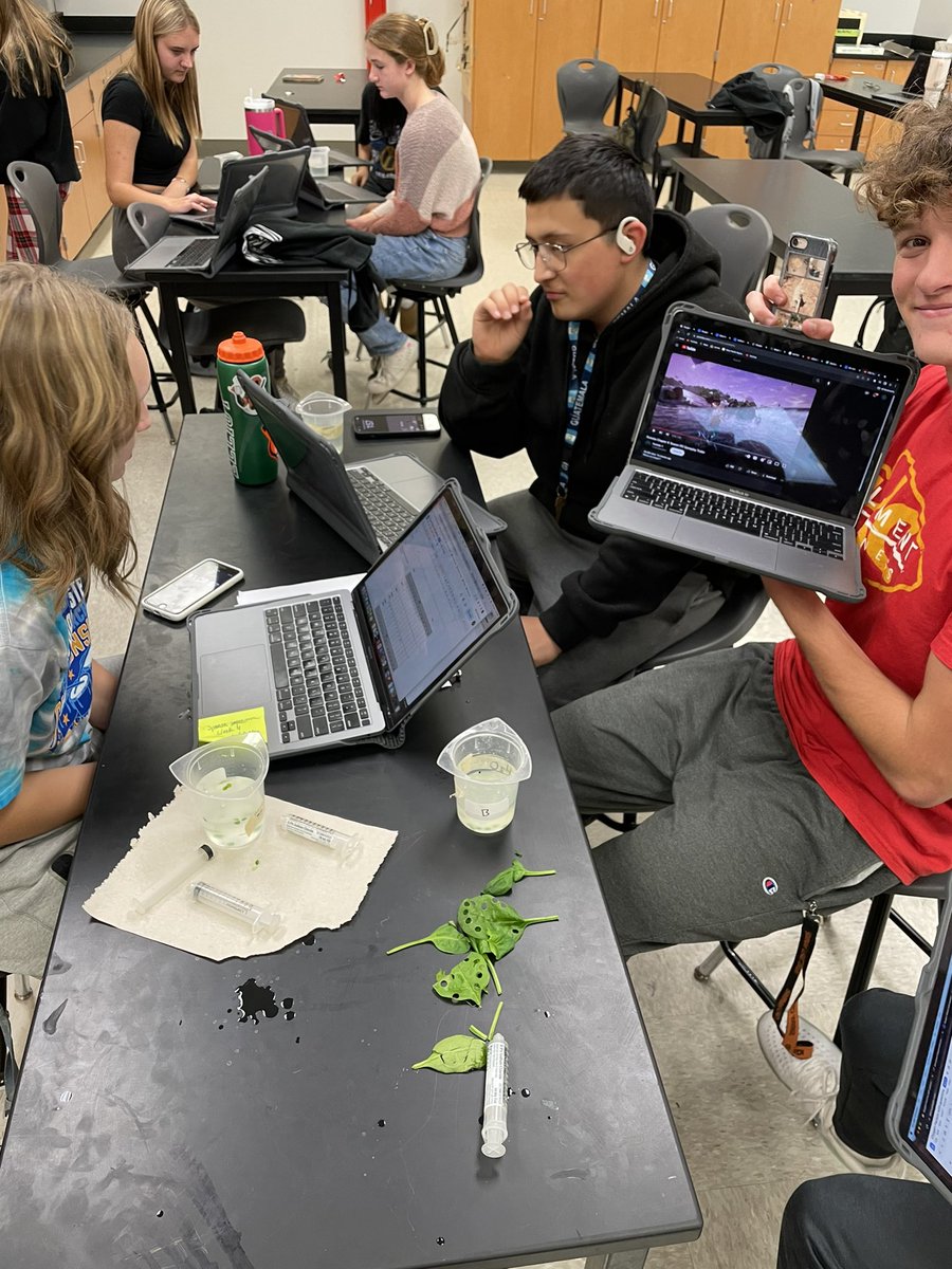 MrNicholsBio's tweet photo. (2/2) not pictured is the second part of the lab where students placed the leaves in the dark and compared photosynthesis in light conditions and in dark conditions https://t.co/BFCoHX4kGl