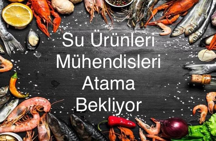 gulseminsen1's tweet photo. @hakanchelik @ibrahimyumakli @cnnturk @TCTarim Hakan bey Tarım Ve Orman Bakanımız 
@ibrahimyumakli
 beye Tarım ve Orman Bakanlığına 15 aydır teknik kadro atamasının yapılmadığını hatırlatır ve ne zaman atama yapılacağını sorarmısınız şimdiden teşekkür ederiz https://t.co/nfW4eOAXpU