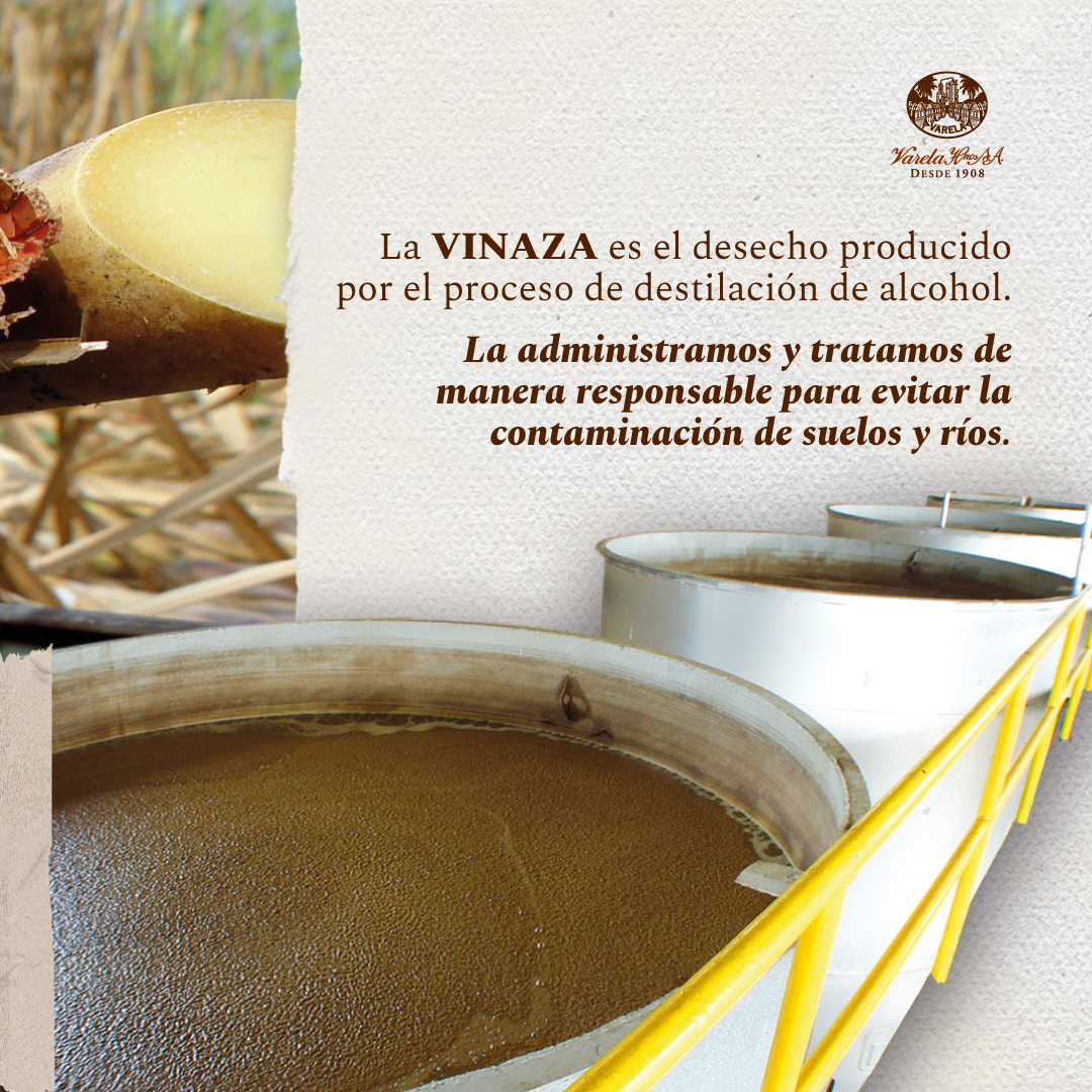 En Varela Hermanos, nos tomamos en serio nuestro compromiso con el medio ambiente. Seguimos trabajando para cosechar nuestra caña de azúcar de manera sostenible, reduciendo emisiones, minimizando desechos y residuos♻️

#Sostenibilidad #CompromisoVerde #Varelahermanos #Panamá #RSE