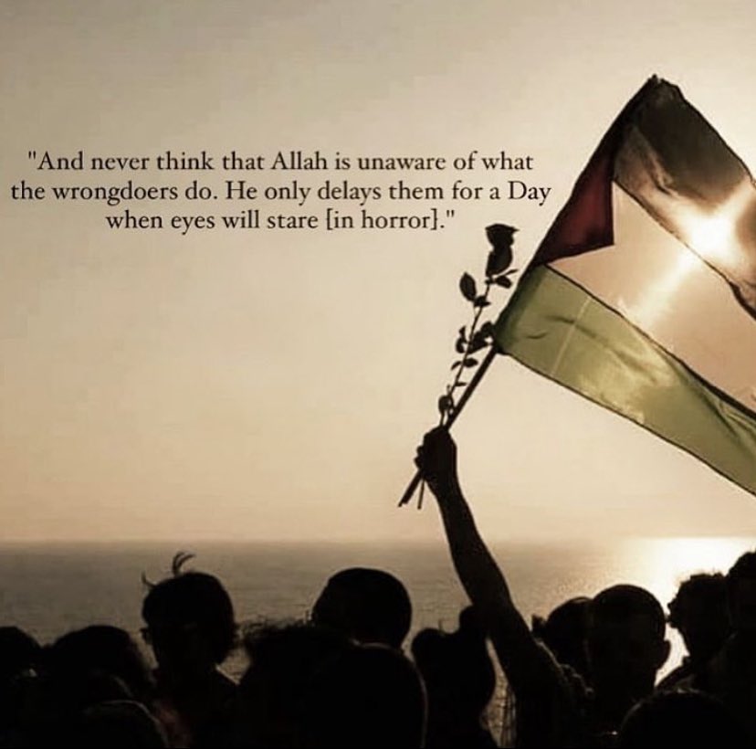 🤍

#Abhisha #ดีเจโก #f1jp #Abhisha #iran #NaseemShah #WestBank