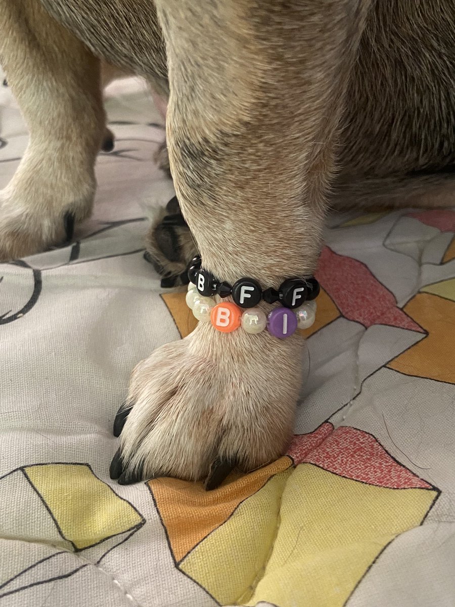 Bolo de laranja tweet media