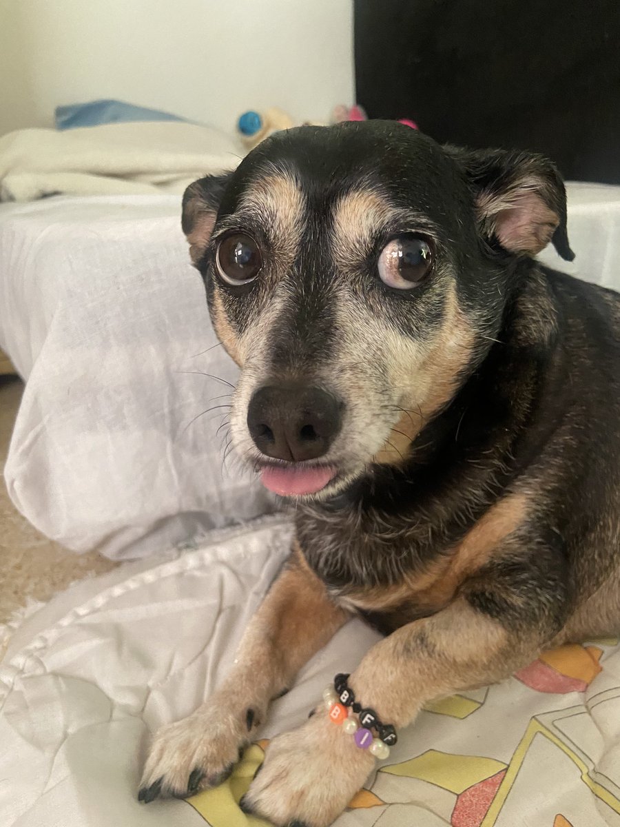 Bolo de laranja tweet media