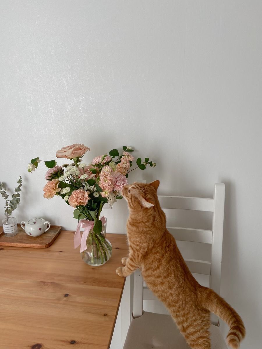 vaniillustrates's tweet photo. flowers with everything 🌸 https://t.co/eE8ifAapP2