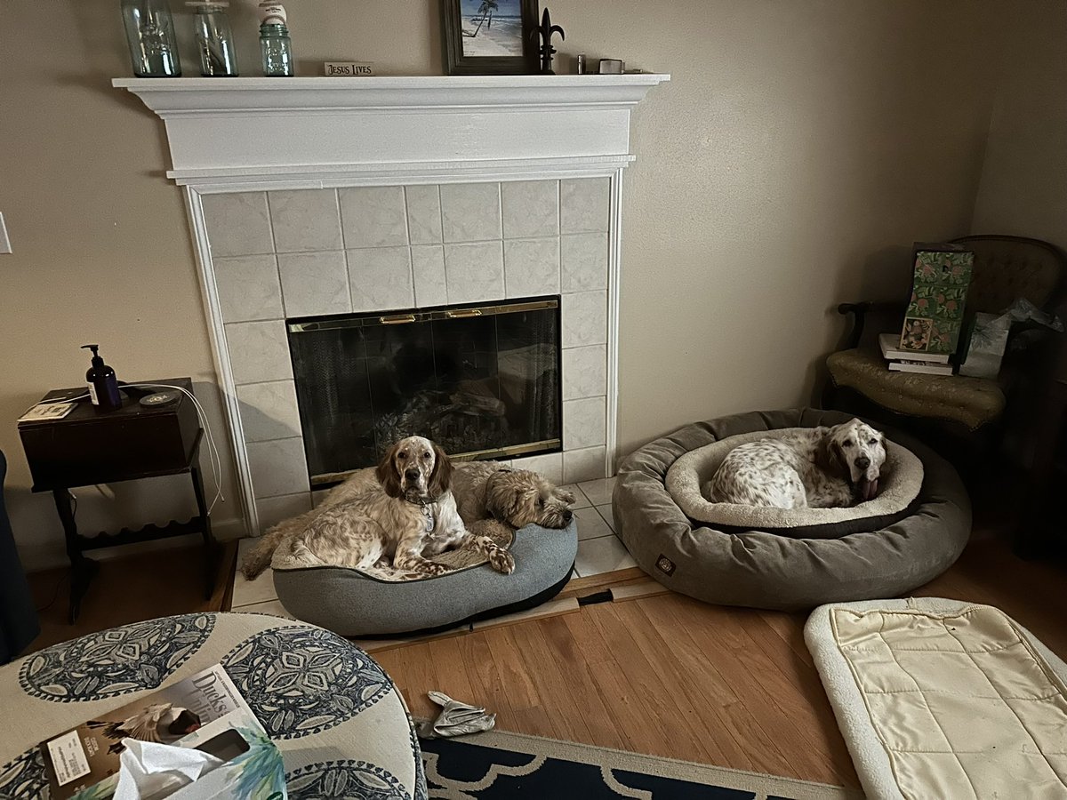 ChuckTheSetter's tweet photo. @smgamesafari https://t.co/Jem619Cby2