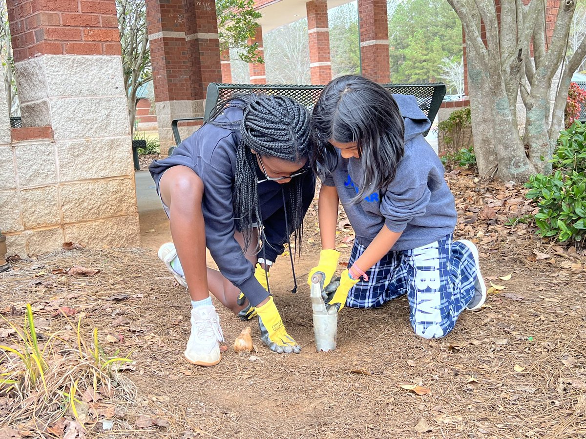 Rebecca Williams tweet media