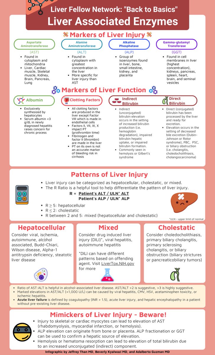 Liver Fellow Network (@LiverFellow) on Twitter photo 2023-11-17 16:45:12