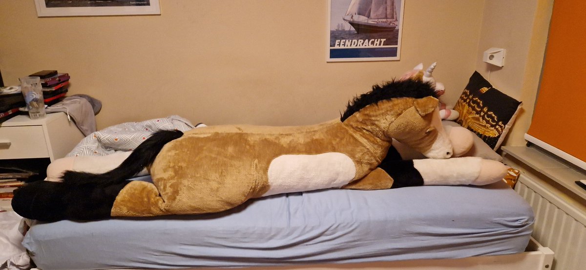 My Plush horse, I know it is a bit small (only 1,8 meter).