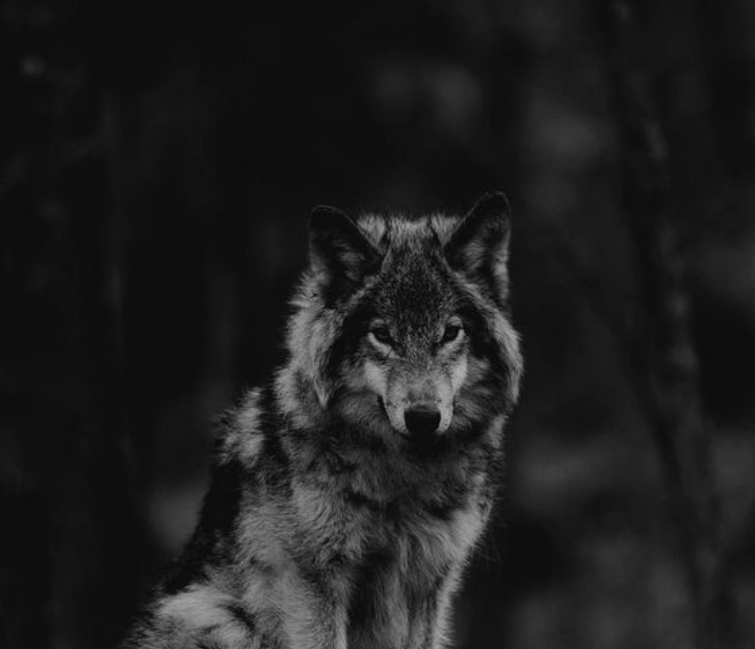 watching my nw go down 6 figs real time

luckily we have long breath

and steel fucking conviction