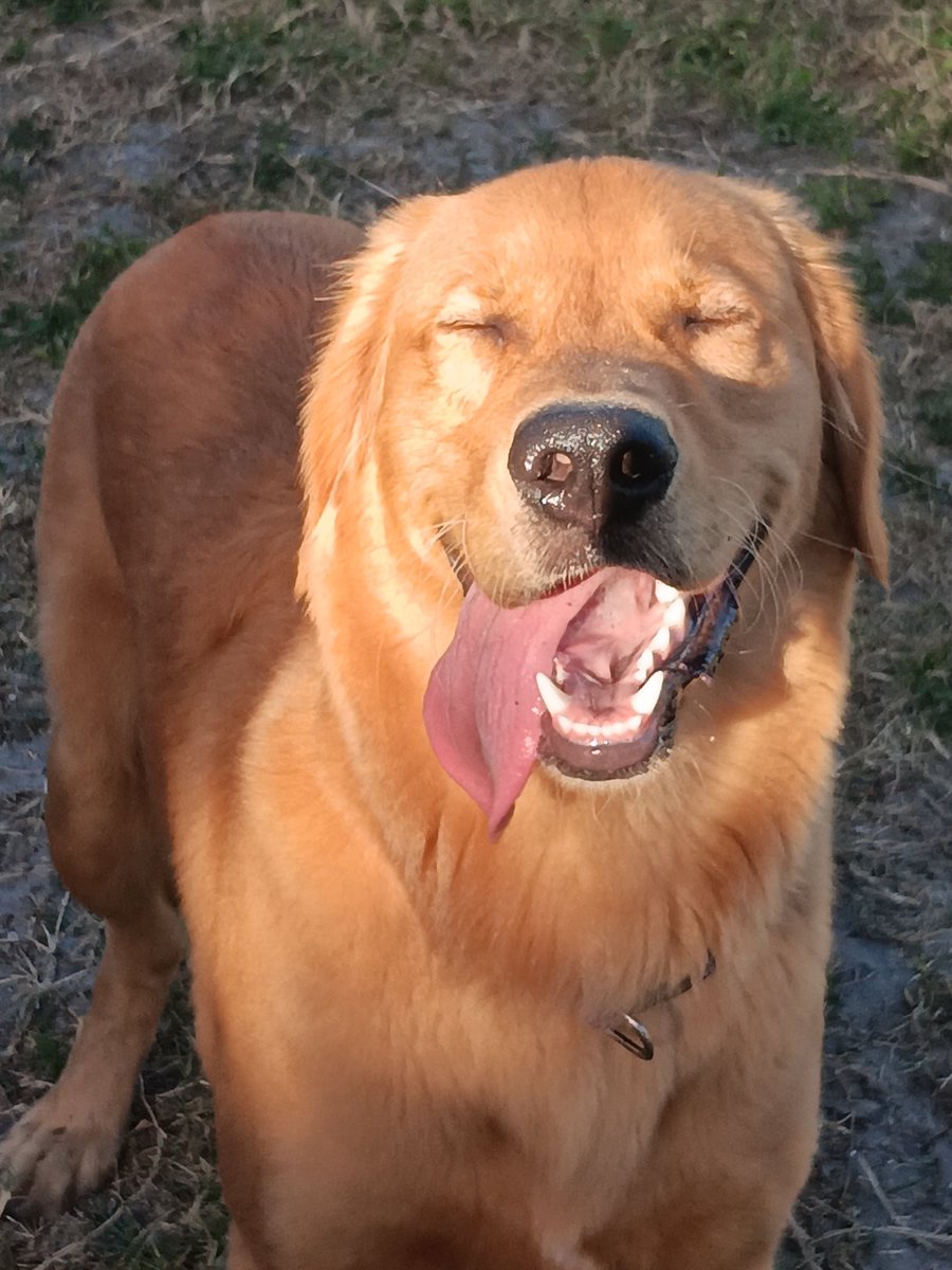 Bacon4EverEver tweet media