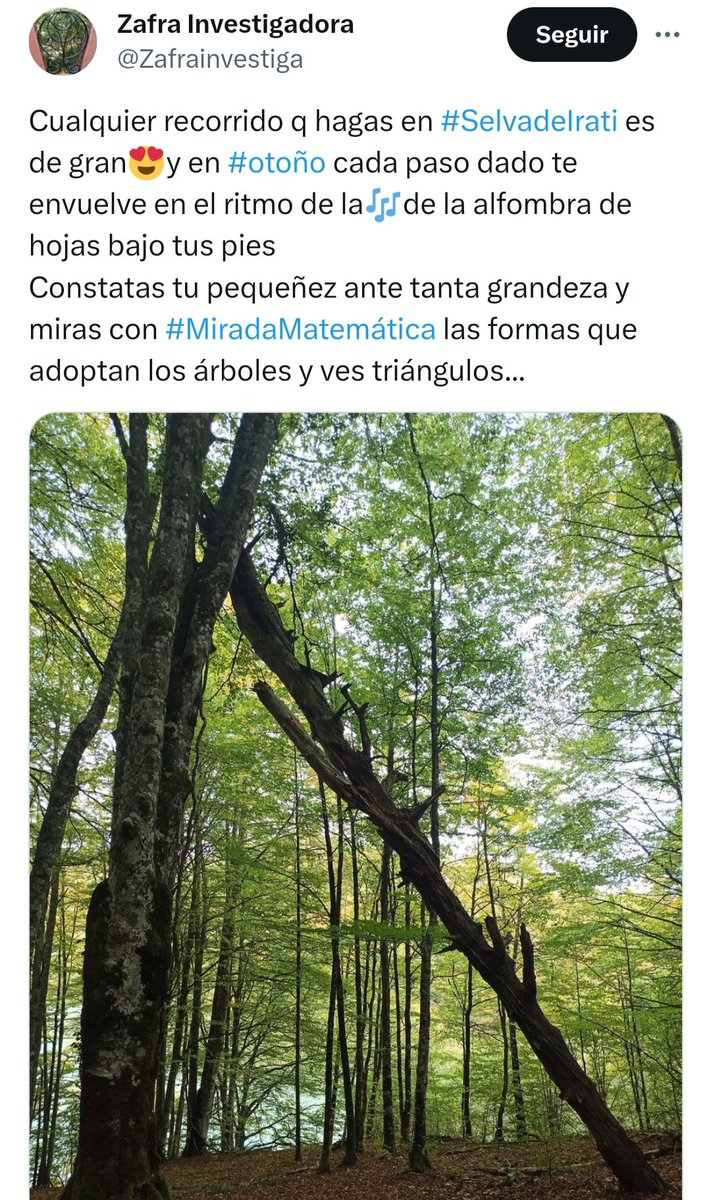 Zafrainvestiga's tweet photo. @smesegue @CEFIREambitCTEM ..#IVCongrésCTEM #conAdeSTEAM @CEFIREambitCTEM
I per fi et trobes a @AnaBayes
I comença la seva conferència😍 i comença a llegir els seus meravellosos #PoeMaths del q soc fan i al final, la sorpresa q... i és que posa aquesta #MiradaMatemática meva
Mare meua, sense paraules! 😊 https://t.co/DGDHmKROvX