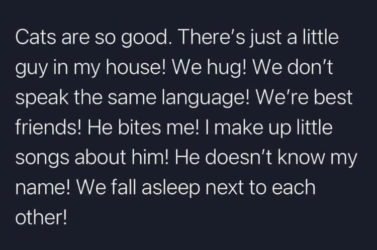 WholesomeMeme's tweet photo. https://t.co/e30DCNYdP1
