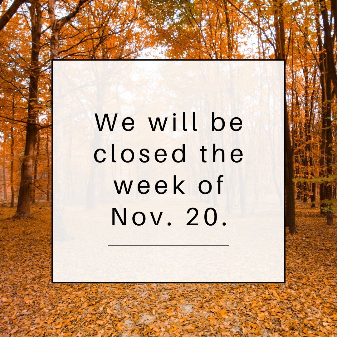 Have a lovely break! We'll be back to help with those final writing assignments of the fall semester.
