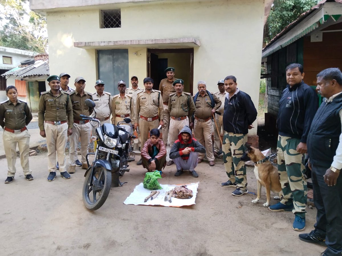 tigerawareness's tweet photo. Dog team track poachers of chital poaching case  in Shahdol...Madhya Pradesh. India.#Tigers #wildlife https://t.co/Hpye9QA223