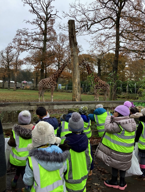 olive__preston's tweet photo. Year 1 had a brilliant time at Knowsley Safari Park! #Science #Animals #Experiences #Adventure #Memories #Trips #MakingLearningComeAlive #Ambition #WeAreSTAR https://t.co/QC12vgq6qL