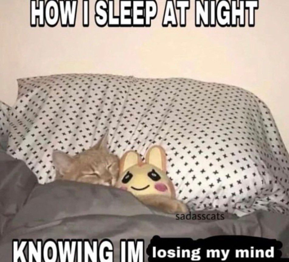 🕐HOURLY🕑 shitpost tweet media