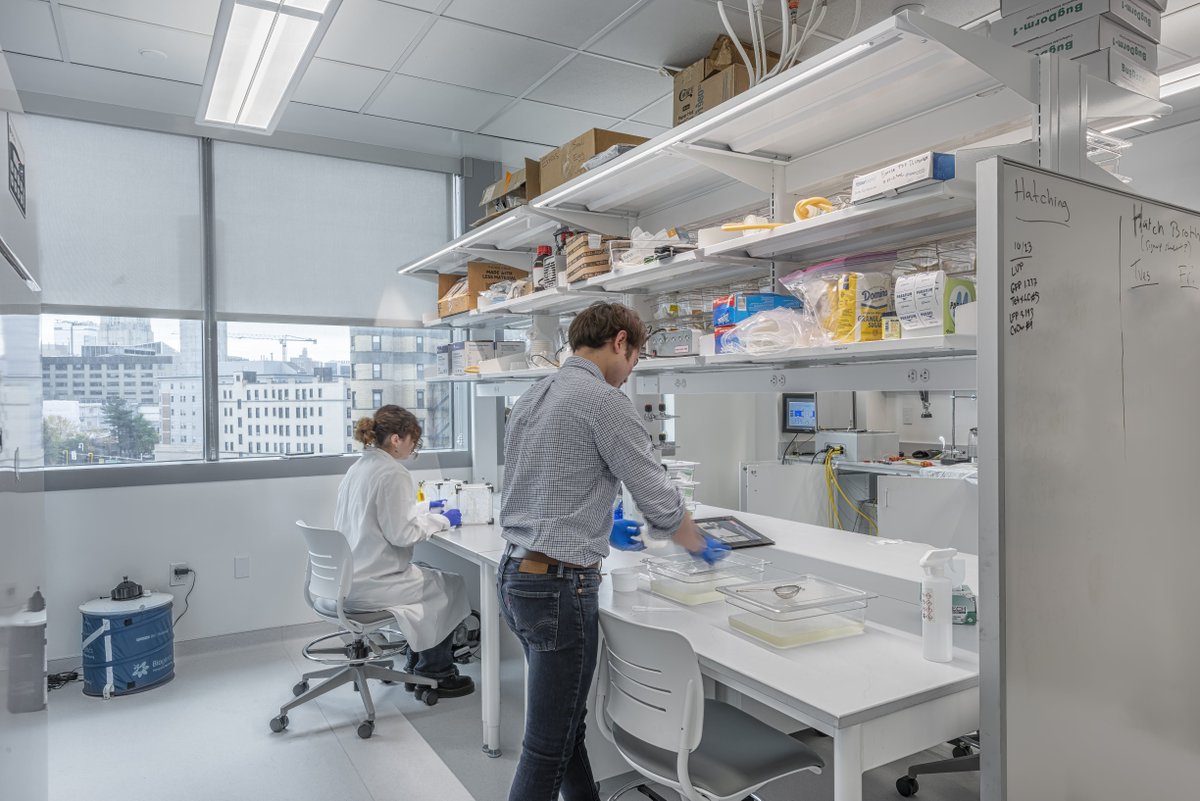 BU Campus Planning & Operations tweet media