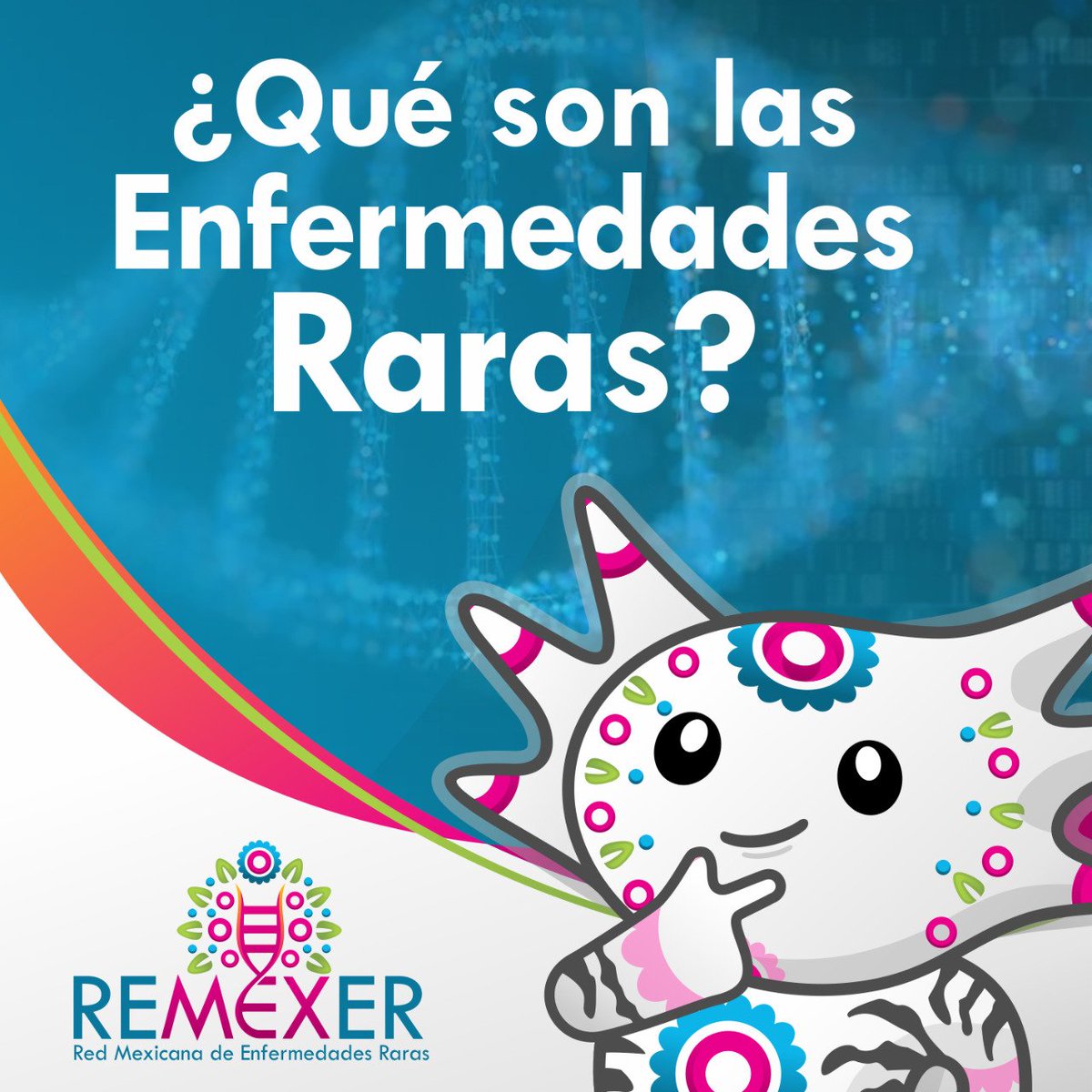GonzagajMx's tweet photo. A punto de iniciar el Simposio sobre Genómica de Enfermedades Raras en el XLVIII #AMGH @AMexGH #CongresoMexicanoGeneticaHumana 
Estaremos platicando sobre los esfuerzos de @ReMexER1 para facilitar el acceso a secuenciación genómica de pacientes con #EnfermedadesRaras en México https://t.co/sezdfHLqoy
