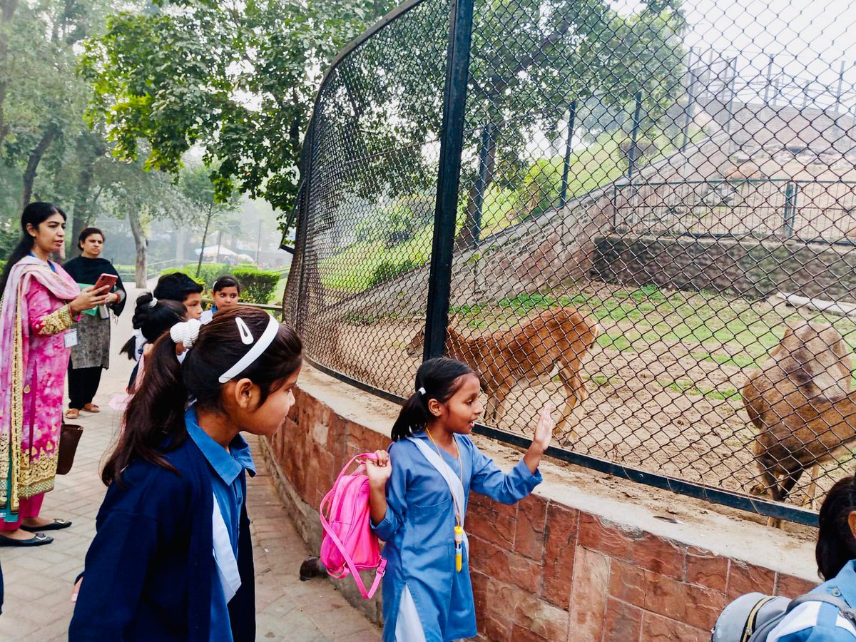 📸  These adorable students from Light of Hope School went on an exciting field trip to the zoo in Lahore! 🐒🐆🐘 #FCCU #EducationForAll #Pray4Pakistan #Formanite #Lahore #Pakistan #FCCollege #University #FriendsOfFCC #LightOfHope #lahorezoo