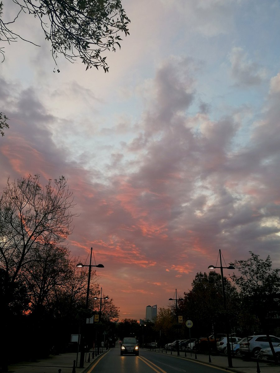 thisismine_e's tweet photo. photo of the day β¨
#potd_Mine https://t.co/ftGzvxEmwc