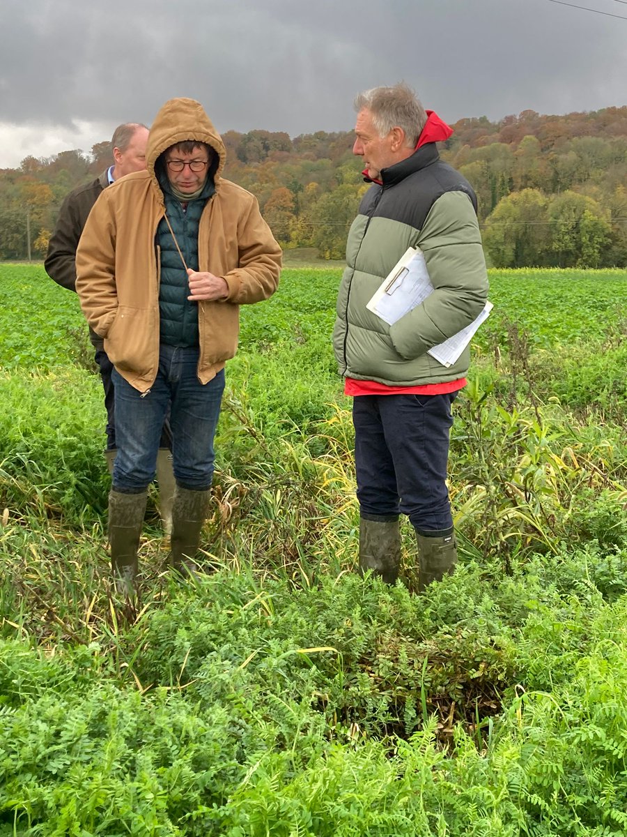 Agoracoop's tweet photo. [Agroécologie] Une vingtaine d’agriculteurs et conseillers anglais du réseau BASE sont venus découvrir les travaux réalisés en matière d’Agriculture de Conservation des Sols dans l’Oise avec la découverte des travaux d'Agora sur la plateforme couverts de Catenoy https://t.co/61iE9JoB5g