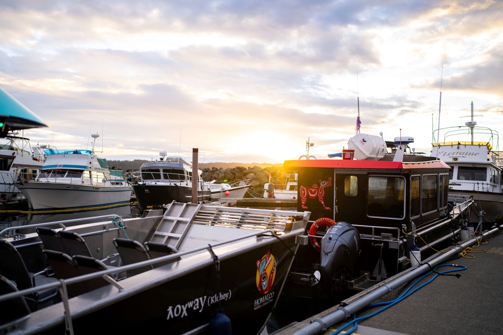 Homalco Wildlife & Cultural Tours tweet media