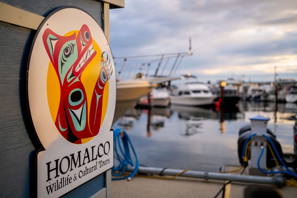 Homalco Wildlife & Cultural Tours tweet media