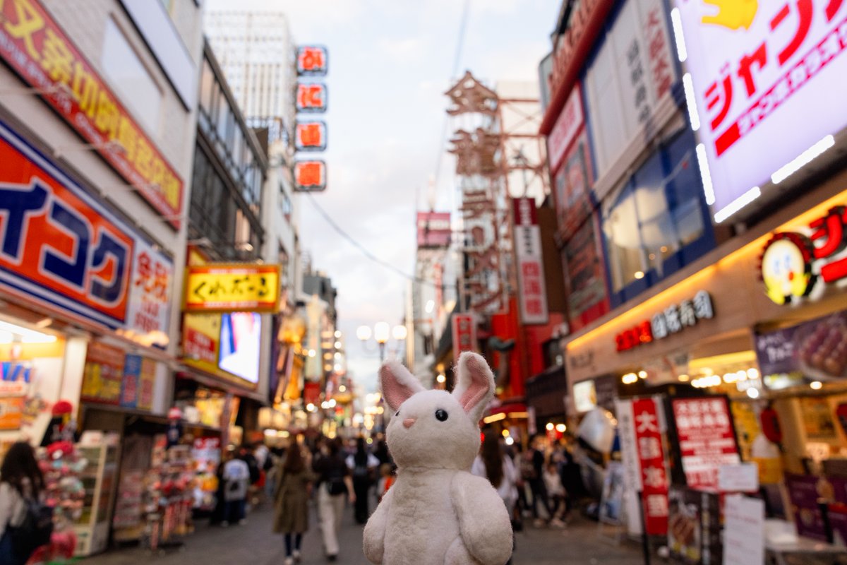 MiaRabbit's tweet photo. An Evening in Dotonbori #MiaRabbit https://t.co/Oa5o2HwdpW https://t.co/RJ7cj35Ps8