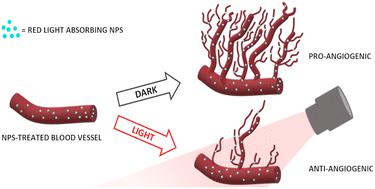 Lion-Hearted (@eu_lionhearted) on Twitter photo Proud to announce our latest publication in <a href="/nanoscale_rsc/">Nanoscale journal family</a> journal! 📰
"Bimodal modulation of in vitro angiogenesis with photoactive polymer nanoparticles":
pubs.rsc.org/en/content/art…
Result of the excellent teamwork of LH partners <a href="/IITalk_projects/">IITalk_projects</a> <a href="/unipv/">Università di Pavia</a> <a href="/POLYMAT_BERC/">POLYMAT</a> <a href="/Unibo/">Università di Bologna</a> Proud to announce our latest publication in <a href="/nanoscale_rsc/">Nanoscale journal family</a> journal! 📰
"Bimodal modulation of in vitro angiogenesis with photoactive polymer nanoparticles":
pubs.rsc.org/en/content/art…
Result of the excellent teamwork of LH partners <a href="/IITalk_projects/">IITalk_projects</a> <a href="/unipv/">Università di Pavia</a> <a href="/POLYMAT_BERC/">POLYMAT</a> <a href="/Unibo/">Università di Bologna</a>