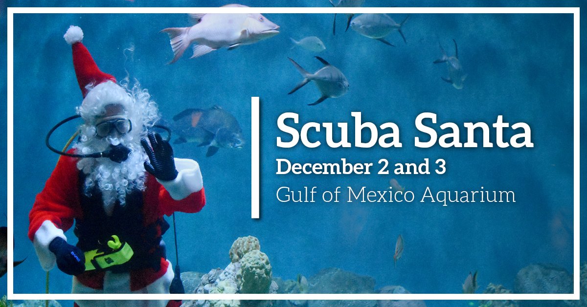 Scuba Santa will be at the River Museum December 2 &amp; 3 from 12 PM–1 PM! Come and take your picture with Scuba Santa in the Gulf of Mexico Aquarium in our new Rivers the Sea exhibit, included with general admission. Thank you to our sponsors: Finnin Kia and Radio Dubuque!