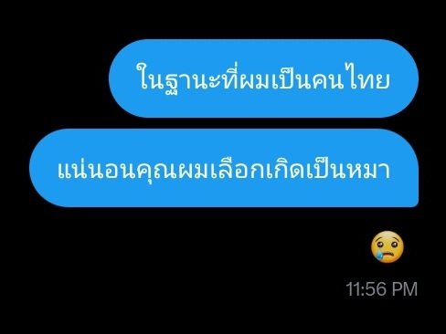 ช. tweet media