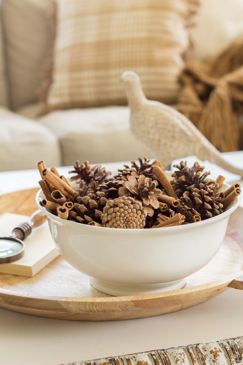 ThisRelaxesMe's tweet photo. Immerse in the aroma of scented pinecones 🌲🍁 #ScentedSerenity #FallScents https://t.co/wrY1FfykMu