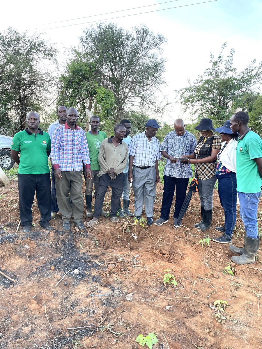 Thank you@KEFRI Kitui team for supporting my Laudato Si agroforestry project. You graciously donated 500 Melia Vokensii (Mukau aka Kamba mahogany) seedlings which we have planted in my farm today under your diligent supervision. This is my humble response to the Pope’s @Pontifex…