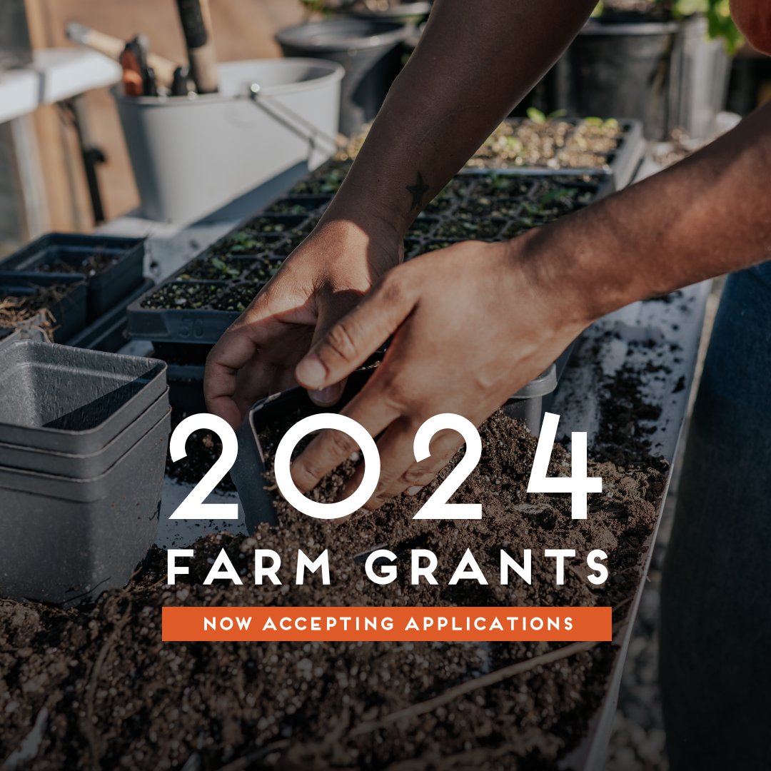 Farm Grants are back! In 2024, Food Well plans to provide $274,000 in grants through two categories of support: a $8,000 Farm Support Grant awarded to 28 farms and a $25,000 Farm Forward Grant awarded to 2 farms. By offering two grant opportunities, Food Well can reach more farms